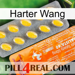 Hard Wang new05